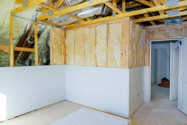 Best Residential Insulation in Lakewood Clu, MI