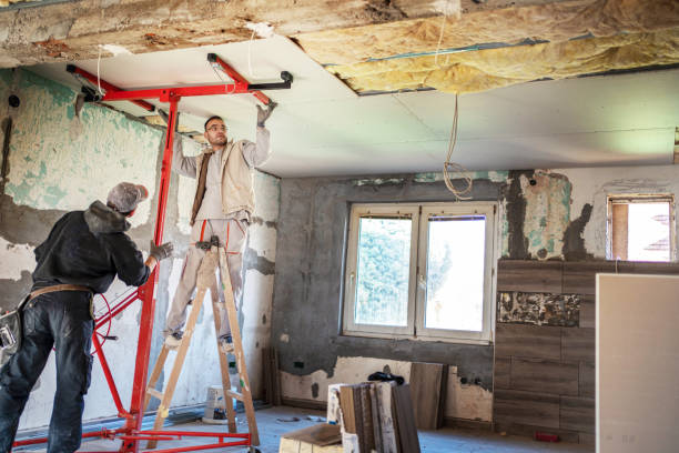 Professional Insulation Contractor in MI