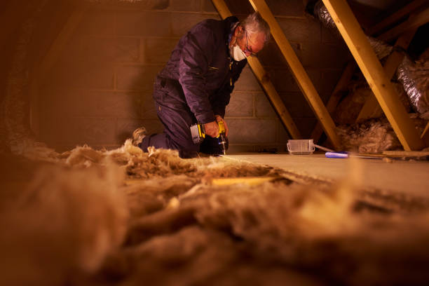 Best Energy Efficiency Solutions in Lakewood Clu, MI